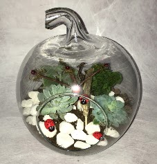 Kk terrarium elma 3 kakts  Ankara 23 Nisan Mahallesi ieki maazas 