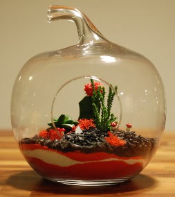 Elma Terrarium 3 kakts orta boy  Ankara Ufuktepe online iek gnderme