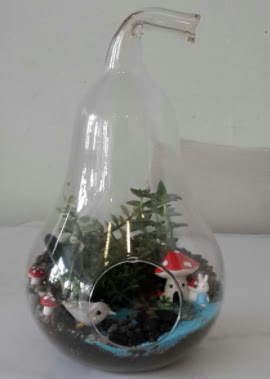 Armut orta boy cam terrarium  Ankara Aaelence Mahallesi cicekciler 