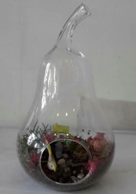 Armut orta boy cam terrarium tanzim  Ankara iekli Mahallesi Oran 14 ubat sevgililer gn