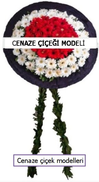 Cenaze iei cenazeye iek modeli  Ankara Pnarba Mahallesi sevgilime hediye iek 