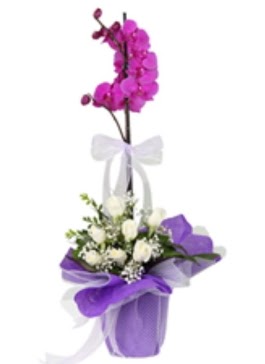 1 dal mor orkide ve 11 adet beyaz gl  Ankara Ufuktepe online iek gnderme