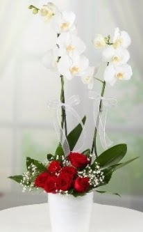 2 dall beyaz orkide 7 adet krmz gl  Ankara Ufuktepe online iek gnderme