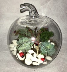 Kk terrarium elma 3 kakts  Ankara 23 Nisan Mahallesi ieki maazas 