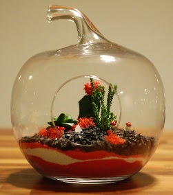 Elma Terrarium 3 kakts orta boy  Ankara Ufuktepe online iek gnderme