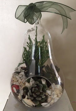 Orta boy armut terrarium 3 kakts  Ankara Balum iek siparii sitesi 