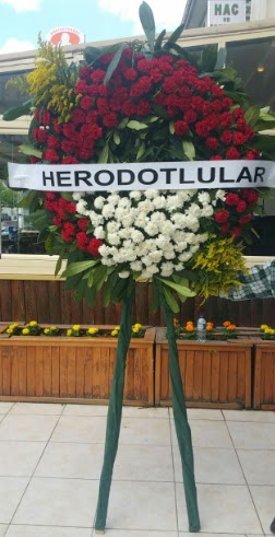 Cenaze elengi cenazeye iek modeli  Ankara Pnarba Mahallesi sevgilime hediye iek 