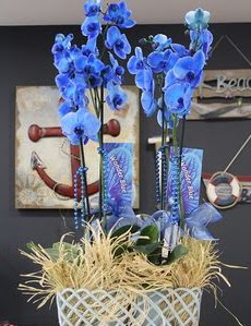 4 dall zel mavi orkide  Ankara Yayla Mahallesi iek yolla 