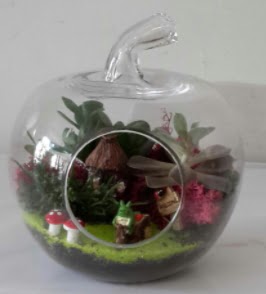 Elma cam orta boy terrarium teraryum  Ankara Esertepe Mahallesi cicek