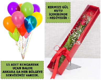 15 Adet uan balon ve kutuda krmz gl  Ankara Etlik Mahallesi iek servisi 